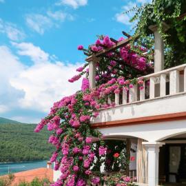 Apartment Violetta-1 by Interhome