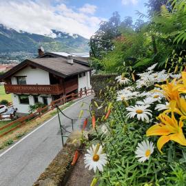 Aosta में, होटल Agriturismo B&B Chèvres à Cheval