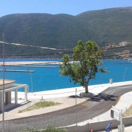 pension holidays studios, hotel in Vasiliki