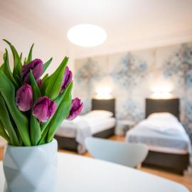 Aparthotel Villa Elon, Hotel in Fürth