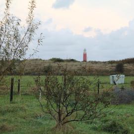 boerderij de duinen 111