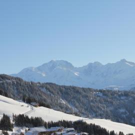 La Perle Des Alpes C2