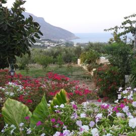 Chrissi's house with garden and sea view Zerviana