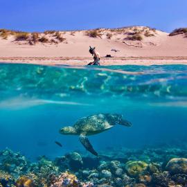 Tortuga Dafni Bay Villas Diver's Paradise by "elite", hotel a Vasilikos