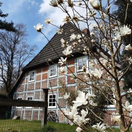 Schönes Apartment vor den Toren Hamburgs - keine Monteurwohnung
