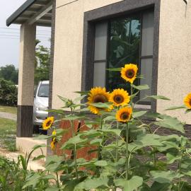 哲芷軒包棟養生莊園