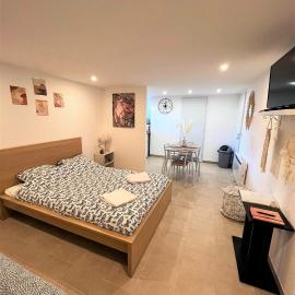 Studio Le Plum'Art, 10mn Zoo de Beauval avec jardin, hotel in Noyers-sur-Cher