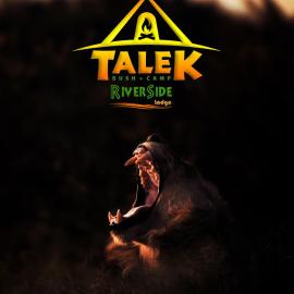Talek Bush Camp , Masai Mara, ξενοδοχείο σε Talek