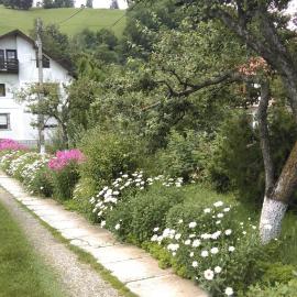 Pensiunea Iulia, hotel in Bran