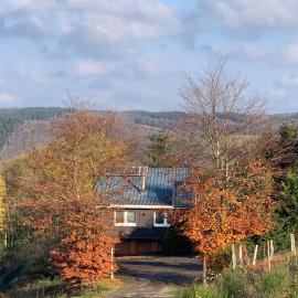 Waldhaus Wangen