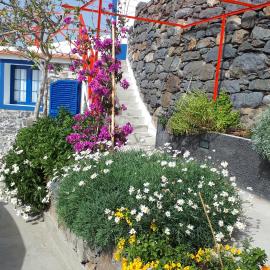 Casa Villa Dinastía Sótão Y Casa Villa Dinastía Miramar, hotel a Ribeira Brava