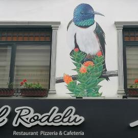 Hotel Rodelu, khách sạn ở Latacunga