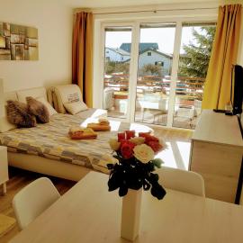 Apartma MAX, hotel in Moravske-Toplice