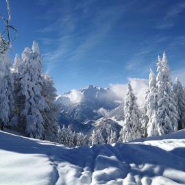 Apartment in Hippach near Mayrhofen Ski Area