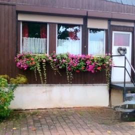 Ferienwohnung Halle/Lettin