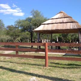 Bosquecito de Carpin, hotel en Carpintería