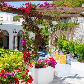 Hotel La Mandorla, Hotel in Barano d'Ischia