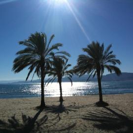 Hotel L'Escala, hotel din Cullera
