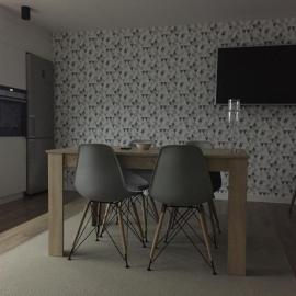 Apartment Tarasy centrum