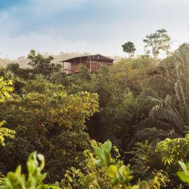 Casa del Bosque Tayrona, хотел в Санта Марта