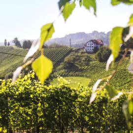 Weingut Peter Grill – hotel w mieście Leutschach