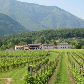 Agriturismo Al Col, hotel in Follina