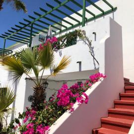 Clara, hotel i Los Pocillos