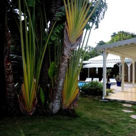 Habitation de l'Anse Mancenillier