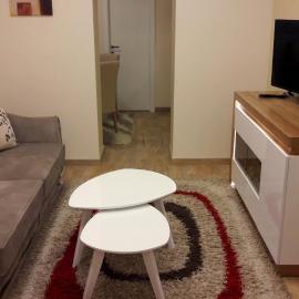Apartment Dedinje Hill 2
