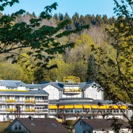 Hotel Deynique, hótel í Westerburg