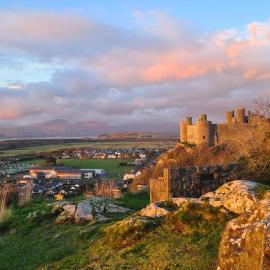 Y Branwen Restaurant & Rooms - Adult Only and Dog Friendly: Harlech şehrinde bir otel