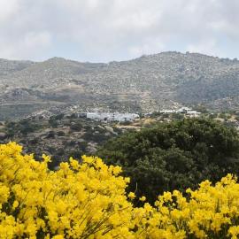Freedom's house on Volaka Village Tinos, Hotel in Vólax