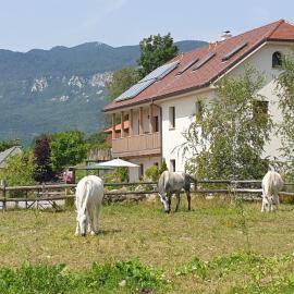 Lipizzaner Lodge Guest House, hotell i Postojna