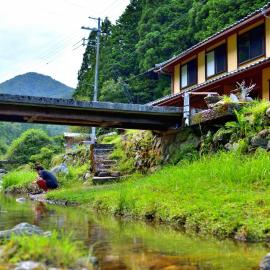 泰山木美山, hotel a Nantan city