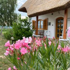Emese Apartman Cserszegtomaj