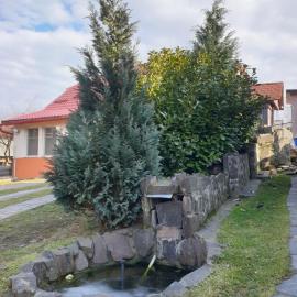 Casa cu fantana, מלון בBorleşti