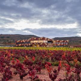 Hotel Bodega FyA - GRUPO PIÉROLA, hótel í Navarrete