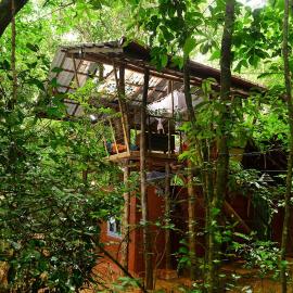 Back of Beyond - Jungle Hideaway, Pidurangala, hotel v destinácii Sígirija