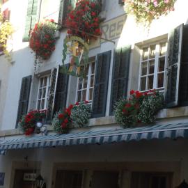Hotel zum alten Schweizer, ξενοδοχείο σε Twann