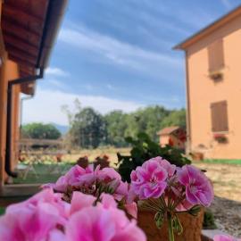 La Cascina della Vachina, Hotel in Poggio Bustone