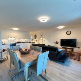Lavish 4.5 rooms furnished apartment @Glattbrugg, hotel u gradu Glattbrugg