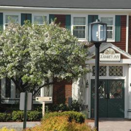 Lamies Inn & The Old Salt Tavern, hotel in Hampton