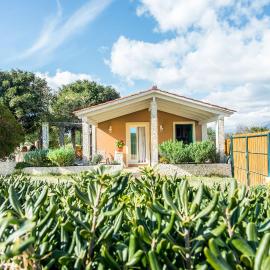 Villa Aelia - A Peaceful And Private Place