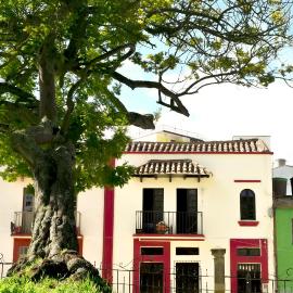 Hotel Aroma del Bosque Posada Cafe，通哈的飯店