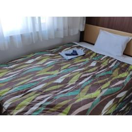 Central Hotel Toride - Vacation STAY 09913v，Toride的飯店