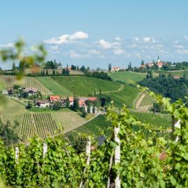 Weingut Schauer, hotel em Kitzeck im Sausal