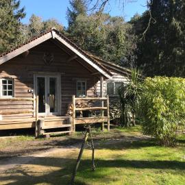 sika lodge – hotel w mieście Wareham