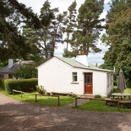 The Bungalow
