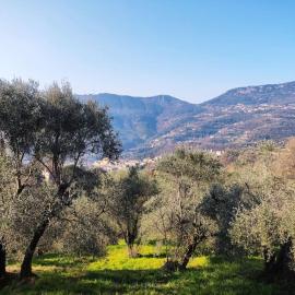 Bas de villa. Côte d'Azur, à 20 kms de Nice: Contes şehrinde bir otel