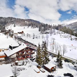 Schi- und Wanderhotel Berghof